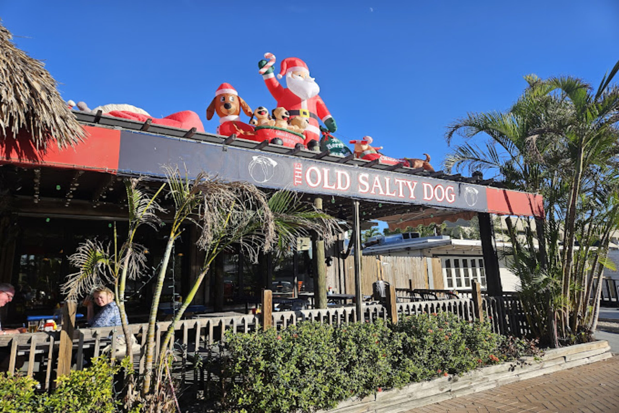 Old Salty Dog