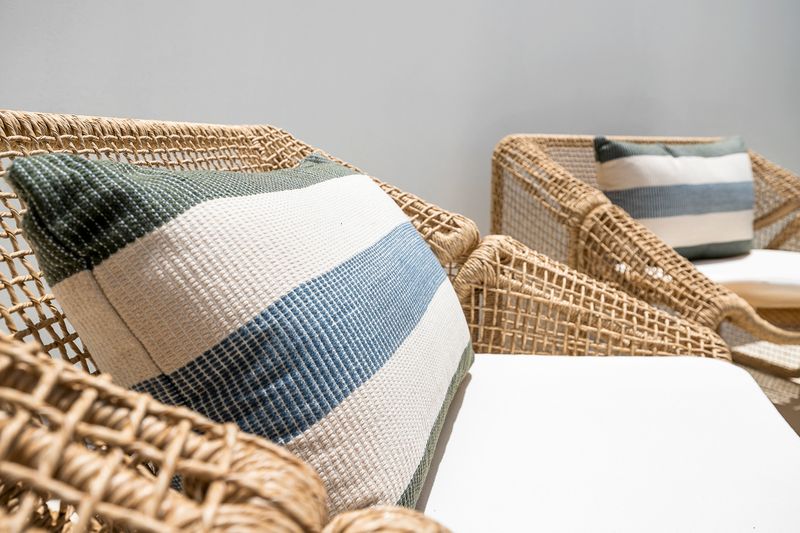 Chair and Cushion